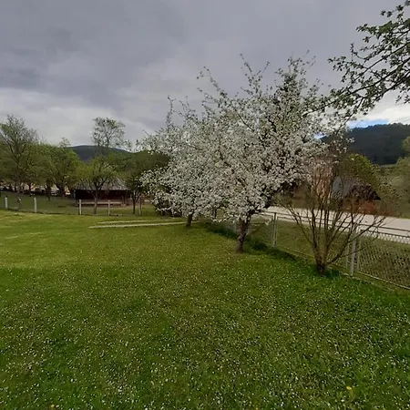 Apartman Djokovic Mokra Gora