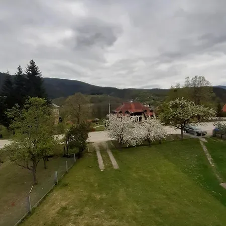 Djokovic * Mokra Gora