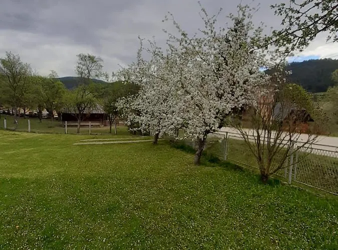 Apartmán Djokovic Mokra Gora