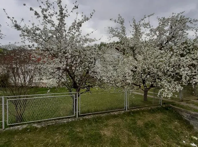 Djokovic Apartmán *