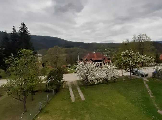 Djokovic * Mokra Gora